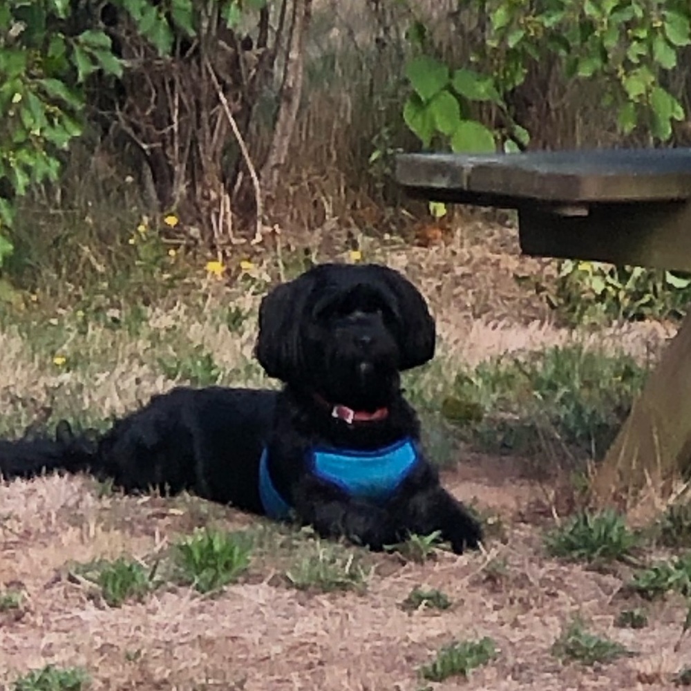 Meet your Posher, Stacey